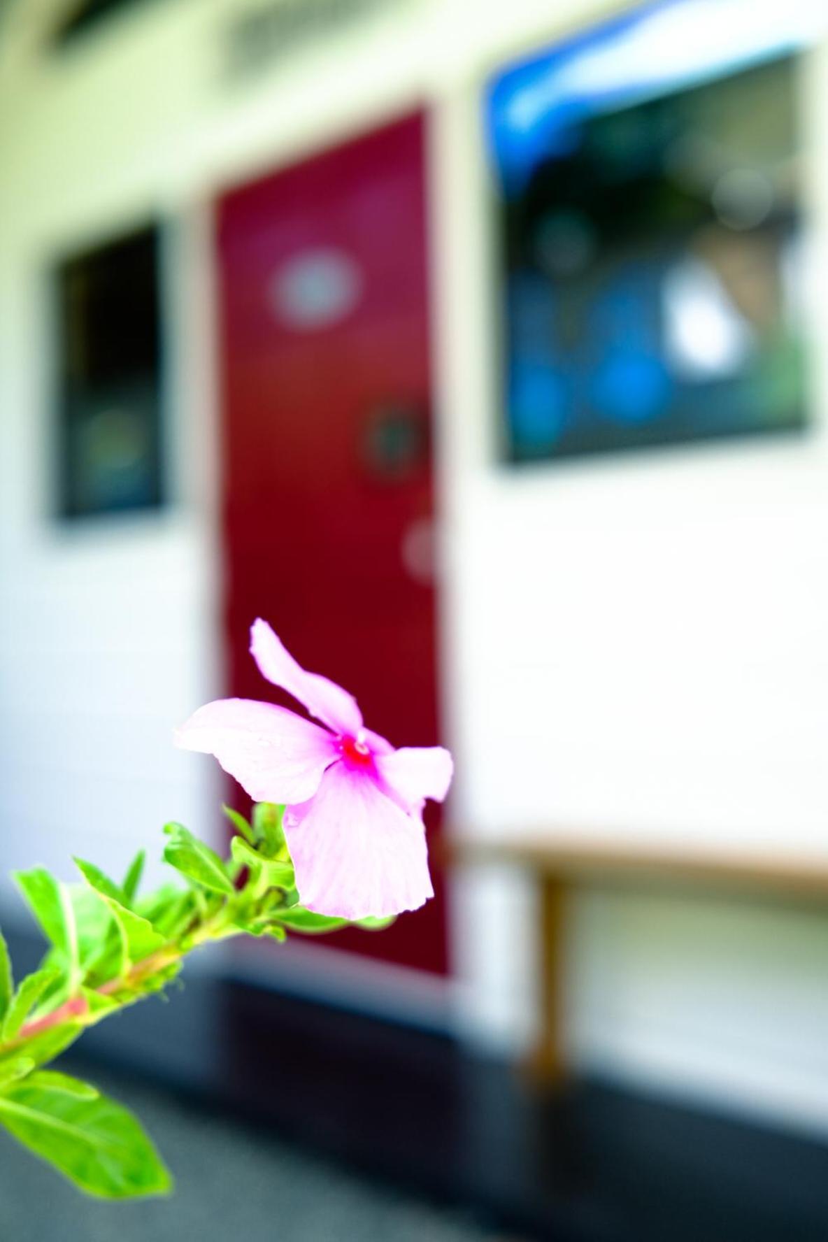 Silk Cotton Cottages Parrot Hall Exterior photo